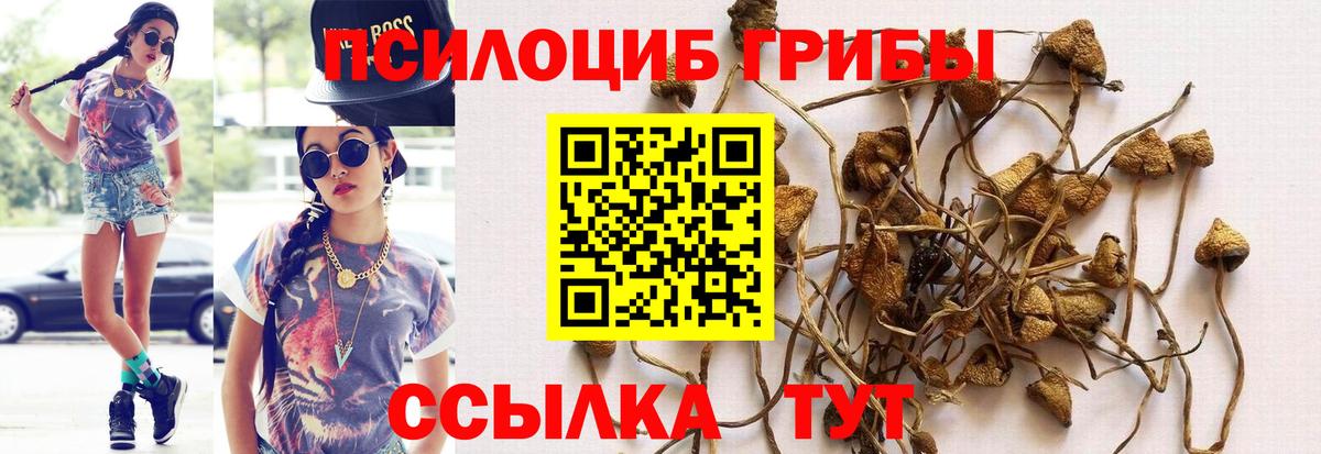 Псилоцибиновые грибы мухоморы Заволжье